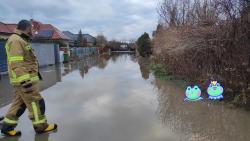Siechnice - Woda gruntowa zalała mieszkańców 